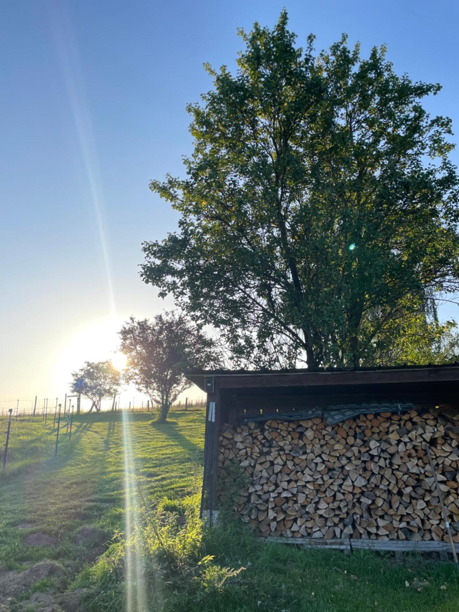 Auszeit Altenhorst, Gartenferienwohnung Schalksmuhle Extérieur photo